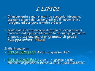 I LIPIDIChimicamente sono formati da carbonio, idrogeno, ossigeno al pari dei carboidrati ma il rapporto tra idrogeno ed ossigeno è molto più alto. Grazie all&apos;elevato numero di atomi di idrogeno ogni molecola sviluppa grandi quantità di energia per unità di peso. L&apos;ossidazione di un grammo di grassi sviluppa infatti 9 KcalSi distinguono in LIPIDI SEMPLICI: Alcol + a. grasso= TGCLIPIDI COMPLESSI: Alcol + a. grasso + altre molecole organiche =&gt; FOSFOLIPIDI, GLICOLIPIDI