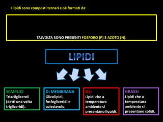 TALVOLTA SONO PRESENTI FOSFORO (P) E AZOTO (N).
I lipidi sono composti ternari cioè formati da:
SEMPLICI
Triacilgliceroli
(detti una volta
trigliceridi).
DI MEMBRANA
Glicolipidi,
fosfogliceridi e
colesterolo.
OLI
Lipidi che a
temperatura
ambiente si
presentano liquidi.
GRASSI
Lipidi che a
temperatura
ambiente si
presentano solidi.
 