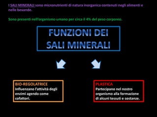 BIO-REGOLATRICE
Influenzano l’attività degli
enzimi agendo come
cofattori.
PLASTICA
Partecipano nel nostro
organismo alla formazione
di alcuni tessuti e sostanze.
I SALI MINERALI sono micronutrienti di natura inorganica contenuti negli alimenti e
nelle bevande.
Sono presenti nell’organismo umano per circa il 4% del peso corporeo.
 