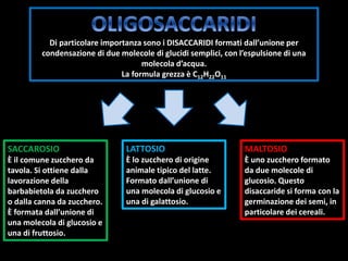 Di particolare importanza sono i DISACCARIDI formati dall’unione per
condensazione di due molecole di glucidi semplici, con l’espulsione di una
molecola d’acqua.
La formula grezza è C12H22O11
SACCAROSIO
È il comune zucchero da
tavola. Si ottiene dalla
lavorazione della
barbabietola da zucchero
o dalla canna da zucchero.
È formata dall’unione di
una molecola di glucosio e
una di fruttosio.
LATTOSIO
È lo zucchero di origine
animale tipico del latte.
Formato dall’unione di
una molecola di glucosio e
una di galattosio.
MALTOSIO
È uno zucchero formato
da due molecole di
glucosio. Questo
disaccaride si forma con la
germinazione dei semi, in
particolare dei cereali.
 