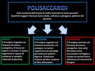 Sono costituiti dall’unione di molte molecole di monosaccaridi.
Quelli di maggior interesse sono amido, cellulosa e glicogeno, polimeri del
glucosio.
AMIDO
È di origine vegetale con
funzione di riserva
energetica. Si trova nei
tuberi e nei semi. Il nostro
organismo è capace di
scinderlo in semplici
molecole di glucosio.
CELLULOSA
È di origine vegetale con
funzione strutturale e di
sostegno. In nostro
organismo non possiede
gli enzimi per poterla
digerire. Costituisce
insieme ad altre sostanze
la fibra alimentare
GLICOGENO
È di origine animale con
funzione di riserva
energetica. Una volta
formatosi viene
accumulato nel fegato o
inviato ai muscoli che lo
utilizzano nei momenti di
bisogno
 