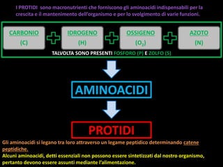 I PROTIDI sono macronutrienti che forniscono gli aminoacidi indispensabili per la
crescita e il mantenimento dell’organismo e per lo svolgimento di varie funzioni.
CARBONIO
(C)
IDROGENO
(H)
OSSIGENO
(O2)
AZOTO
(N)
TALVOLTA SONO PRESENTI FOSFORO (P) E ZOLFO (S)
AMINOACIDI
PROTIDI
Gli aminoacidi si legano tra loro attraverso un legame peptidico determinando catene
peptidiche.
Alcuni aminoacidi, detti essenziali non possono essere sintetizzati dal nostro organismo,
pertanto devono essere assunti mediante l’alimentazione.
 