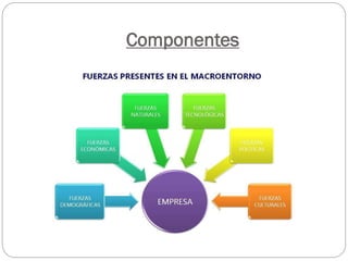 Componentes
 