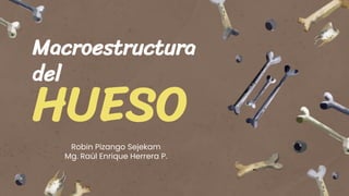 Macroestructura
del
HUESO
Robin Pizango Sejekam
Mg. Raúl Enrique Herrera P.
 