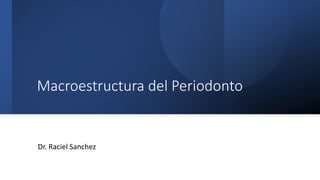 Macroestructura del Periodonto
Dr. Raciel Sanchez
 
