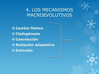 4. LOS MECANISMOS
MACROEVOLUTIVOS
 Cambio filetico
 Cladogénesis
 Coevolución
 Radiación adaptativa
 Extinción
 