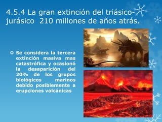 4.5.4 La gran extinción del triásico-
jurásico 210 millones de años atrás.
 Se considera la tercera
extinción masiva mas
catastrófica y ocasionó
la desaparición del
20% de los grupos
biológicos marinos
debido posiblemente a
erupciones volcánicas
 