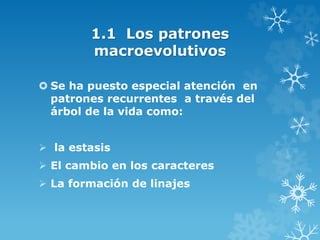 1.1 Los patrones
macroevolutivos
 Se ha puesto especial atención en
patrones recurrentes a través del
árbol de la vida como:
 la estasis
 El cambio en los caracteres
 La formación de linajes
 