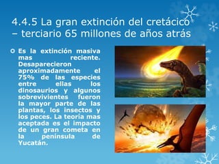 4.4.5 La gran extinción del cretácico
– terciario 65 millones de años atrás
 Es la extinción masiva
mas reciente.
Desaparecieron
aproximadamente el
75% de las especies
entre ellas los
dinosaurios y algunos
sobrevivientes fueron
la mayor parte de las
plantas, los insectos y
los peces. La teoría mas
aceptada es el impacto
de un gran cometa en
la península de
Yucatán.
 