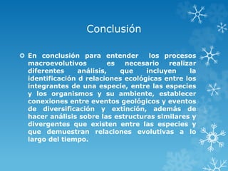 Conclusión
 En conclusión para entender los procesos
macroevolutivos es necesario realizar
diferentes análisis, que incluyen la
identificación d relaciones ecológicas entre los
integrantes de una especie, entre las especies
y los organismos y su ambiente, establecer
conexiones entre eventos geológicos y eventos
de diversificación y extinción, además de
hacer análisis sobre las estructuras similares y
divergentes que existen entre las especies y
que demuestran relaciones evolutivas a lo
largo del tiempo.
 