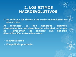 2. LOS RITMOS
MACROEVOLUTIVOS
 Se refiere a los ritmos a los cuales evolucionan los
seres vivos.
Al respectos se han generado distintos
planteamientos que describen la velocidad en la que
se presentan los cambios que generan
diversificación, entre ellos están :
 El gradualismo
 El equilibrio puntuado
 