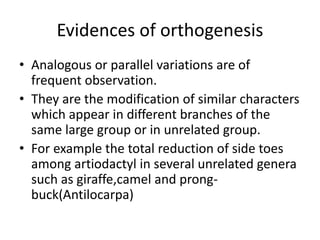 Evidences of orthogenesis
• Analogous or parallel variations are of
frequent observation.
• They are the modification of similar characters
which appear in different branches of the
same large group or in unrelated group.
• For example the total reduction of side toes
among artiodactyl in several unrelated genera
such as giraffe,camel and prong-
buck(Antilocarpa)
 