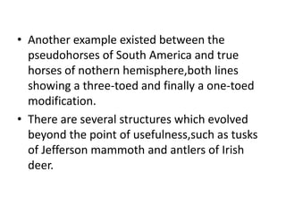 • Another example existed between the
pseudohorses of South America and true
horses of nothern hemisphere,both lines
showing a three-toed and finally a one-toed
modification.
• There are several structures which evolved
beyond the point of usefulness,such as tusks
of Jefferson mammoth and antlers of Irish
deer.
 