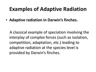 Examples of Adaptive Radiation
• Adaptive radiation in Darwin’s finches.
A classical example of speciation involving the
interplay of complex forces (such as isolation,
competition, adaptation, etc.) leading to
adaptive radiation at the species level is
provided by Darwin’s finches.
 