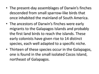 • The present-day assemblages of Darwin’s finches
descended from small sparrow-like birds that
once inhabited the mainland of South America.
• The ancestors of Darwin’s finches were early
migrants to the Galapagos Islands and probably
the first land birds to reach the islands. These
early colonists have given rise to 14 distinct
species, each well adapted to a specific niche.
• Thirteen of these species occur in the Galapagos,
one is found in the small isolated Cocos Island,
northeast of Galapagos.
 