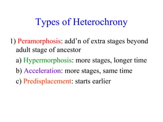 Types of Heterochrony
1) Peramorphosis: add’n of extra stages beyond
adult stage of ancestor
a) Hypermorphosis: more stages, longer time
b) Acceleration: more stages, same time
c) Predisplacement: starts earlier
 