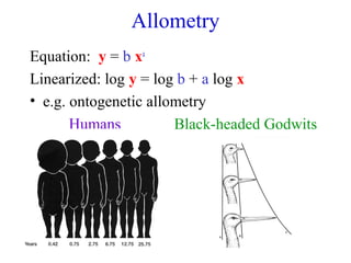 Allometry
Equation: y = b xa
Linearized: log y = log b + a log x
• e.g. ontogenetic allometry
Humans Black-headed Godwits
 