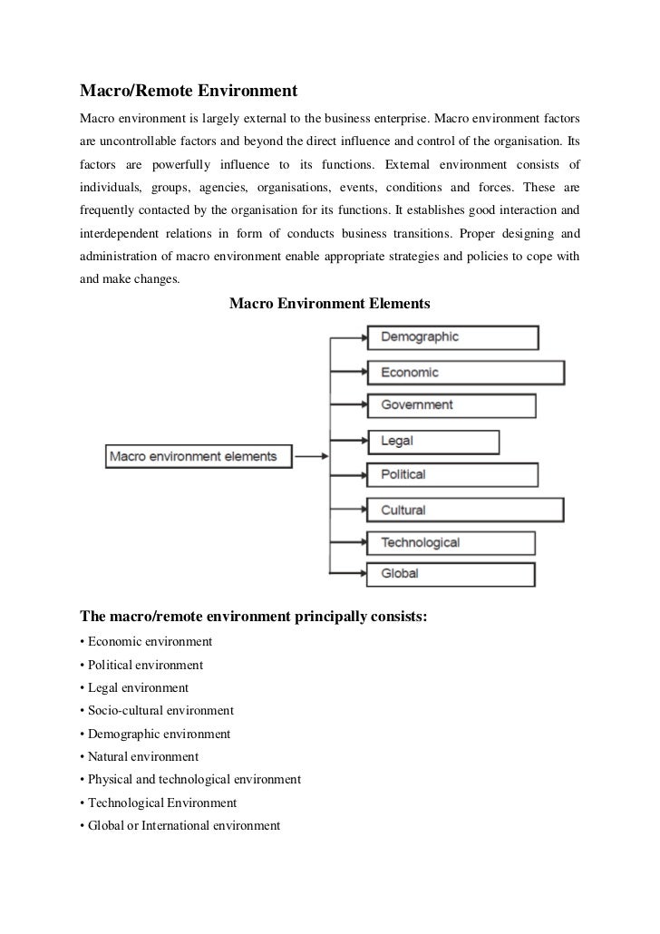 business essay on macro environment