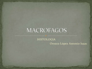 HISTOLOGIA
       Orozco López Antonio Isaac
 