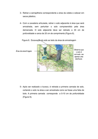 3- Retirar a serrapilheira correspondente a área da coleta e colocar em
           sacos plástico;


      4- Com a cavadeira articulada, retirar o solo adjacente à área que será
           amostrada,       sem   perturbar   o   solo   compreendido   pela       área
           demarcada. O solo adjacente deve ser retirado a 30 cm de
           profundidade e cerca de 20 cm de comprimento (Figura 8).


          Figura 8. Escavação do solo ao lado da área de amostragem



 $320¨)$! 
#  1  ( ' % #                                                    3C)A3)364
                                                                        8 D B 8 @9 8 7 5
                                                                               CE I)GE
                                                                              P H E F
                                                                          3aIY0VQ2TQ
                                                                         b R ` X W U S R
                                                                           pTG2TYTc
                                                                          c i h g c f e d
                                                                            T23)2$q
                                                                           w s v u rt s r




      5- Após ser realizado o buraco, é retirada a primeira camada de solo,
           cortando o solo na área a ser amostrada como se fosse uma fatia de
           bolo. A primeira camada corresponde a 0-10 cm de profundidade
           (Figura 9).
 
