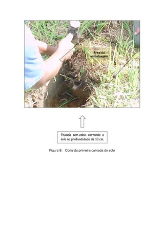 Figura 9. Corte da primeira camada do solo
       |}!zxvƒl€…†sr!!!…)Il$if €3e
         { y w u t p t p j pq p h o n f m k j h g f
        ” ” „ y ‚ ™ ˜ ” ‘ – ” “ ‚ ‘  ‰ ‡ ‚ „ ‚  y
         dƒ!I))•3—…•¢3’¢$ˆ†…ƒ!€x
    amostragem
      Área da
 