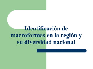 Identificación de macroformas en la región y su diversidad nacional 