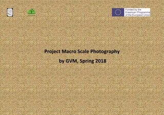 Project Macro Scale Photography
by GVM, Spring 2018
 