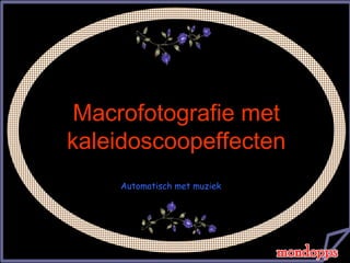 微距摄影
美丽的微距摄影
Automatisch met muziek
Macrofotografie metMacrofotografie met
kaleidoscoopeffectenkaleidoscoopeffecten
 
