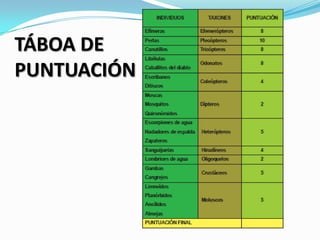 TÁBOA DE
PUNTUACIÓN
 