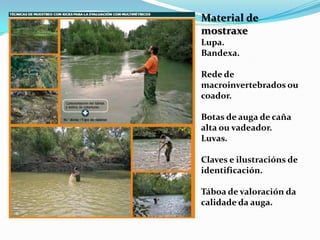 Material de
mostraxe
Lupa.
Bandexa.

Rede de
macroinvertebrados ou
coador.

Botas de auga de caña
alta ou vadeador.
Luvas.

Claves e ilustracións de
identificación.

Táboa de valoración da
calidade da auga.
 