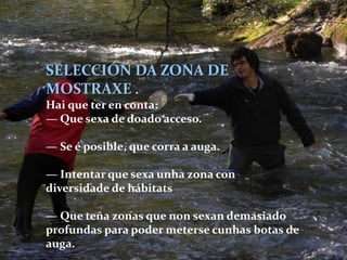 SELECCIÓN DA ZONA DE
MOSTRAXE .
Hai que ter en conta:
— Que sexa de doado acceso.

— Se é posible, que corra a auga.

— Intentar que sexa unha zona con
diversidade de hábitats

— Que teña zonas que non sexan demasiado
profundas para poder meterse cunhas botas de
auga.
 