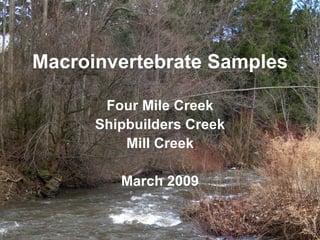 Four Mile Creek Shipbuilders Creek Mill Creek March 2009 Macroinvertebrate Samples 
