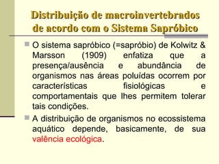 Distribuição de macroinvertebradosDistribuição de macroinvertebrados
de acordo com o Sistema Sapróbicode acordo com o Sistema Sapróbico
 O sistema sapróbico (=sapróbio) de Kolwitz &
Marsson (1909) enfatiza que a
presença/ausência e abundância de
organismos nas áreas poluídas ocorrem por
características fisiológicas e
comportamentais que lhes permitem tolerar
tais condições.
 A distribuição de organismos no ecossistema
aquático depende, basicamente, de sua
valência ecológica.
 