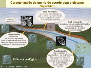 (Fonte: MARQUES & BARBOSA, 2001)(Fonte: MARQUES & BARBOSA, 2001)
Valência ecológica
Caracterização de um rio de acordo com o sistemaCaracterização de um rio de acordo com o sistema
SapróbicoSapróbico
 