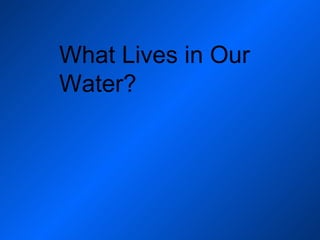 What Lives in Our Water? 
