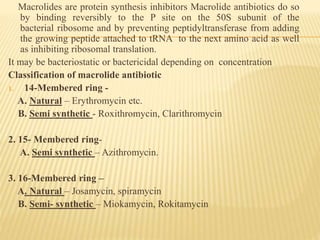 Macrolides are protein synthesis inhibitors Macrolide antibiotics do so
by binding reversibly to the P site on the 50S subunit of the
bacterial ribosome and by preventing peptidyltransferase from adding
the growing peptide attached to tRNA to the next amino acid as well
as inhibiting ribosomal translation.
It may be bacteriostatic or bactericidal depending on concentration
Classification of macrolide antibiotic
1. 14-Membered ring -
A. Natural – Erythromycin etc.
B. Semi synthetic - Roxithromycin, Clarithromycin
2. 15- Membered ring-
A. Semi synthetic – Azithromycin.
3. 16-Membered ring –
A. Natural – Josamycin, spiramycin
B. Semi- synthetic – Miokamycin, Rokitamycin
 