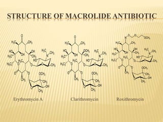 STRUCTURE OF MACROLIDE ANTIBIOTIC
Erythromycin A Clarithromycin Roxithromycin
 