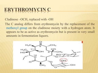 ERYTHROMYCIN C
Cladinose –OCH3 replaced with -OH
The C analog differs from erythromycin by the replacement of the
methoxyl group on the cladinose moiety with a hydrogen atom. It
appears to be as active as erythromycin but is present in very small
amounts in fermentation liquors.
 