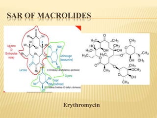 SAR OF MACROLIDES
Erythromycin
 