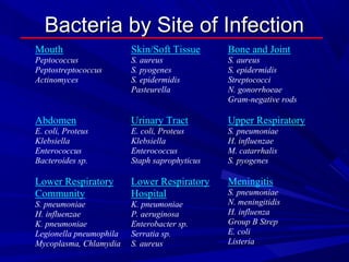 Bacteria by Site of InfectionBacteria by Site of Infection
Mouth
Peptococcus
Peptostreptococcus
Actinomyces
Skin/Soft Tissue
S. aureus
S. pyogenes
S. epidermidis
Pasteurella
Bone and Joint
S. aureus
S. epidermidis
Streptococci
N. gonorrhoeae
Gram-negative rods
Abdomen
E. coli, Proteus
Klebsiella
Enterococcus
Bacteroides sp.
Urinary Tract
E. coli, Proteus
Klebsiella
Enterococcus
Staph saprophyticus
Upper Respiratory
S. pneumoniae
H. influenzae
M. catarrhalis
S. pyogenes
Lower Respiratory
Community
S. pneumoniae
H. influenzae
K. pneumoniae
Legionella pneumophila
Mycoplasma, Chlamydia
Lower Respiratory
Hospital
K. pneumoniae
P. aeruginosa
Enterobacter sp.
Serratia sp.
S. aureus
Meningitis
S. pneumoniae
N. meningitidis
H. influenza
Group B Strep
E. coli
Listeria
 