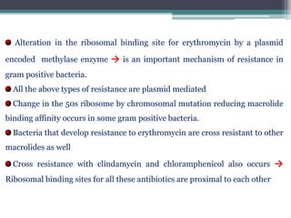 Alteration in the ribosomal binding site for erythromycin by a plasmid
encoded methylase enzyme → is an important mechanism of resistance in
gram positive bacteria.
All the above types of resistance are plasmid mediated
Change in the 50s ribosome by chromosomal mutation reducing macrolide
binding affinity occurs in some gram positive bacteria.
Bacteria that develop resistance to erythromycin are cross resistant to other
macrolides as well
Cross resistance with clindamycin and chloramphenicol also occurs →
Ribosomal binding sites for all these antibiotics are proximal to each other
 