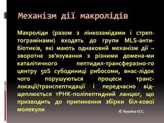Механізм дії макролідівМакроліди (разом з лінкозамідами і стреп-тограмінами) входять до групи MLS-анти-біотиків, які мають однаковий механізм дії – зворотнєзв’язування з різними домена-ми каталітичного пептидил-трансферазно-го центру 50S субодиниці рибосоми, внас-лідок чого порушуються процеси транс-локації/транспептидації і передчасно від-щеплюєтьсятРНК-поліпептидний ланцюг, що призводить до припинення збірки біл-кової молекули© Хухліна О.С.