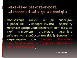Механізми резистентності мікроорганізмів до макролідівмодифікація мішені їх дії внаслідок вироблення мікроорганізмами ферменту метилазиеритроміцинрезистентності, під дією якої макроліди втрачають здатність зв’язуватися з рибосомами (MLSB-фенотип) – ха-рактерний для S.aureus, M.pneumo-niae, S.pneumoniae, S.pyogenes, Enterococcusspp. іBacteroides spp.;© Хухліна О.С.