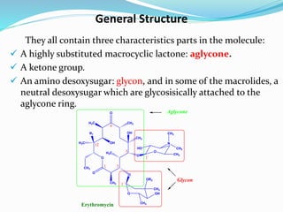 General Structure
O
O
O
CH3
R1
H3C
CH3
CH3
O
H3C
OH
H3C
CH3
OH
O
O
HO
CH3
N
CH3
CH3
O OH
CH3
CH3
OR2
1 3
5
9
12
1`
1``
Erythromycin
Glycon
Aglycone
They all contain three characteristics parts in the molecule:
 A highly substituted macrocyclic lactone: aglycone.
 A ketone group.
 An amino desoxysugar: glycon, and in some of the macrolides, a
neutral desoxysugar which are glycosisically attached to the
aglycone ring.
 