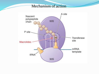 Mechanism of action
 