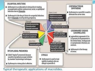 Typical therapeutic applications of macrolides.
 