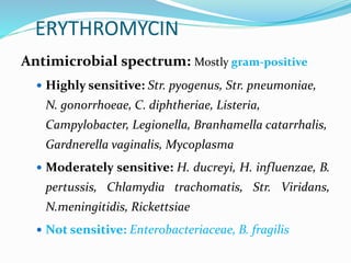 ERYTHROMYCIN
Antimicrobial spectrum: Mostly gram-positive
 Highly sensitive: Str. pyogenus, Str. pneumoniae,
N. gonorrhoeae, C. diphtheriae, Listeria,
Campylobacter, Legionella, Branhamella catarrhalis,
Gardnerella vaginalis, Mycoplasma
 Moderately sensitive: H. ducreyi, H. influenzae, B.
pertussis, Chlamydia trachomatis, Str. Viridans,
N.meningitidis, Rickettsiae
 Not sensitive: Enterobacteriaceae, B. fragilis
 