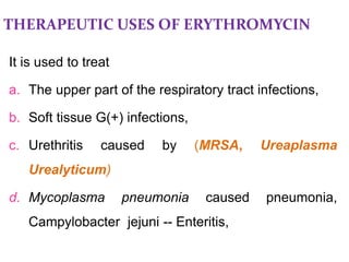 THERAPEUTIC USES OF ERYTHROMYCIN
It is used to treat
a. The upper part of the respiratory tract infections,
b. Soft tissue G(+) infections,
c. Urethritis caused by (MRSA, Ureaplasma
Urealyticum)
d. Mycoplasma pneumonia caused pneumonia,
Campylobacter jejuni -- Enteritis,
 