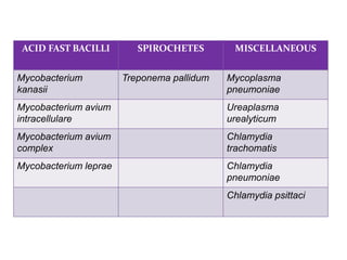 ACID FAST BACILLI SPIROCHETES MISCELLANEOUS
Mycobacterium
kanasii
Treponema pallidum Mycoplasma
pneumoniae
Mycobacterium avium
intracellulare
Ureaplasma
urealyticum
Mycobacterium avium
complex
Chlamydia
trachomatis
Mycobacterium leprae Chlamydia
pneumoniae
Chlamydia psittaci
 