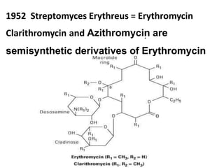 1952 Streptomyces Erythreus = Erythromycin
Clarithromycin and Azithromycin are
semisynthetic derivatives of Erythromycin
.
 